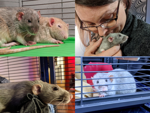 Sebastian's expressive faces