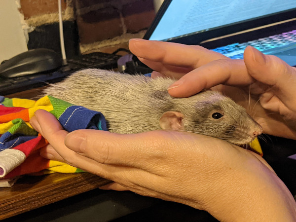 Sebastian saying goodbye